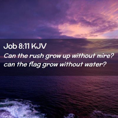 Picture 02 - Job 8:11 KJV - Can the rush grow up without mire? can the flag - Bible Verse Picture