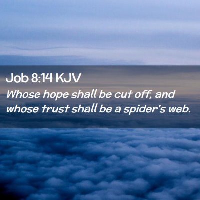 Picture 02 - Job 8:14 KJV - Whose hope shall be cut off, and whose trust - Bible Verse Picture