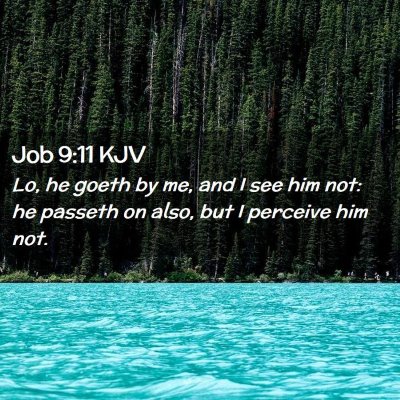 Picture 02 - Job 9:11 KJV - Lo, he goeth by me, and I see him not: he passeth - Bible Verse Picture