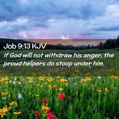 Picture 02 - Job 9:13 KJV - If God will not withdraw his anger, the proud - Bible Verse Picture