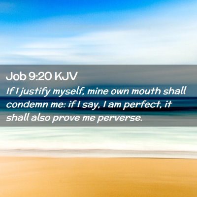 Picture 02 - Job 9:20 KJV - If I justify myself, mine own mouth shall condemn - Bible Verse Picture