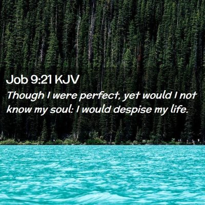 Picture 02 - Job 9:21 KJV - Though I were perfect, yet would I not know my - Bible Verse Picture