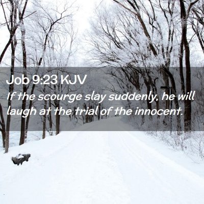 Picture 02 - Job 9:23 KJV - If the scourge slay suddenly, he will laugh at - Bible Verse Picture