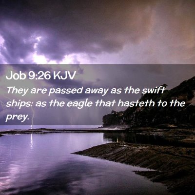 Picture 02 - Job 9:26 KJV - They are passed away as the swift ships: as the - Bible Verse Picture