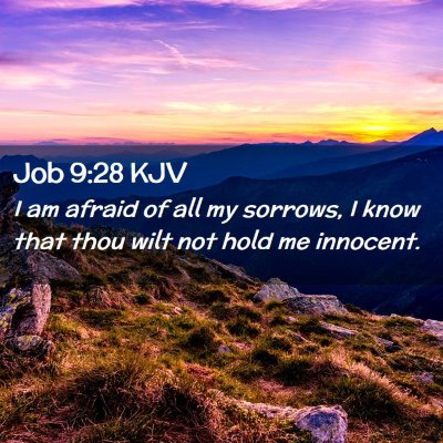 Picture 02 - Job 9:28 KJV - I am afraid of all my sorrows, I know that thou - Bible Verse Picture