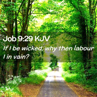 Picture 02 - Job 9:29 KJV - If I be wicked, why then labour I in - Bible Verse Picture