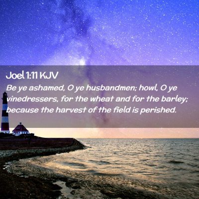 Picture 02 - Joel 1:11 KJV - Be ye ashamed, O ye husbandmen; howl, O ye - Bible Verse Picture