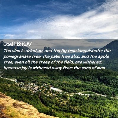 Picture 02 - Joel 1:12 KJV - The vine is dried up, and the fig tree - Bible Verse Picture