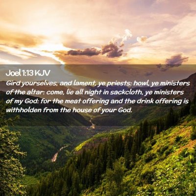 Picture 02 - Joel 1:13 KJV - Gird yourselves, and lament, ye priests: howl, ye - Bible Verse Picture