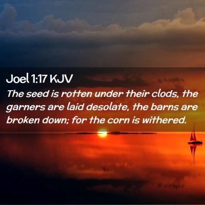 Picture 02 - Joel 1:17 KJV - The seed is rotten under their clods, the garners - Bible Verse Picture