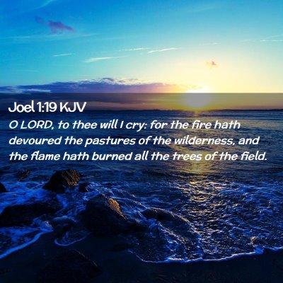 Picture 02 - Joel 1:19 KJV - O LORD, to thee will I cry: for the fire hath - Bible Verse Picture