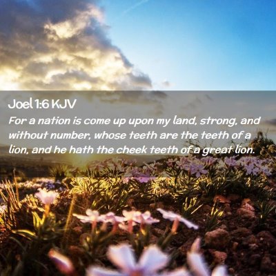 Picture 02 - Joel 1:6 KJV - For a nation is come up upon my land, strong, and - Bible Verse Picture