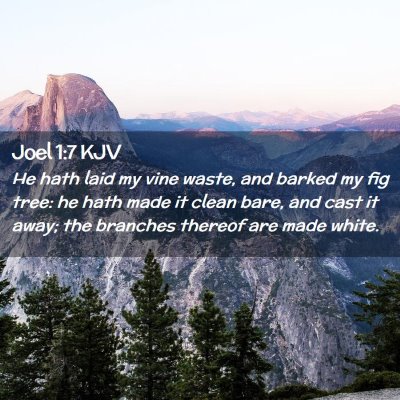 Picture 02 - Joel 1:7 KJV - He hath laid my vine waste, and barked my fig - Bible Verse Picture