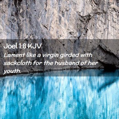 Picture 02 - Joel 1:8 KJV - Lament like a virgin girded with sackcloth for - Bible Verse Picture