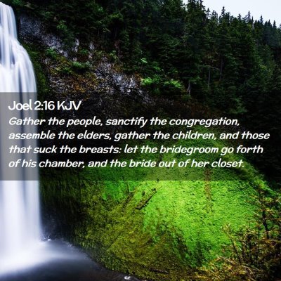 Picture 02 - Joel 2:16 KJV - Gather the people, sanctify the congregation, - Bible Verse Picture