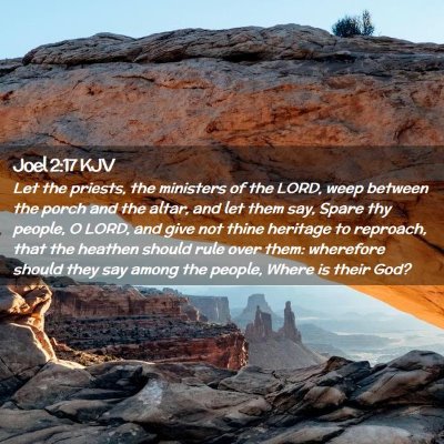Picture 02 - Joel 2:17 KJV - Let the priests, the ministers of the LORD, weep - Bible Verse Picture