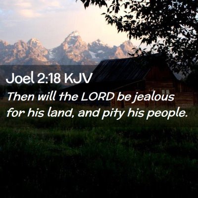 Picture 02 - Joel 2:18 KJV - Then will the LORD be jealous for his land, and - Bible Verse Picture