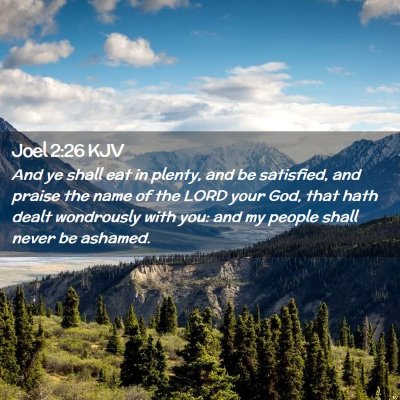 Picture 02 - Joel 2:26 KJV - And ye shall eat in plenty, and be satisfied, and - Bible Verse Picture