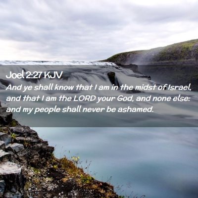 Picture 02 - Joel 2:27 KJV - And ye shall know that I am in the midst of - Bible Verse Picture