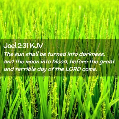 Picture 02 - Joel 2:31 KJV - The sun shall be turned into darkness, and the - Bible Verse Picture