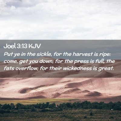 Picture 02 - Joel 3:13 KJV - Put ye in the sickle, for the harvest is ripe: - Bible Verse Picture