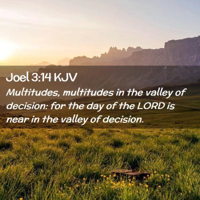 Picture 02 - Joel 3:14 KJV - Multitudes, multitudes in the valley of decision: - Bible Verse Picture