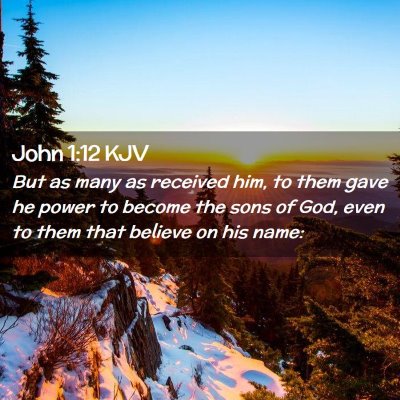 Picture 02 - John 1:12 KJV - But as many as received him, to them gave he - Bible Verse Picture