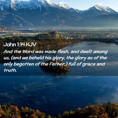 Picture 02 - John 1:14 KJV - And the Word was made flesh, and dwelt among us, - Bible Verse Picture
