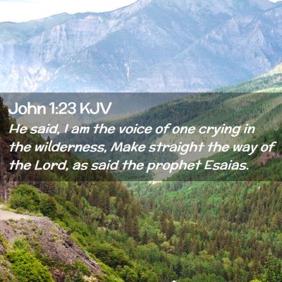 Picture 02 - John 1:23 KJV - He said, I am the voice of one crying in the - Bible Verse Picture