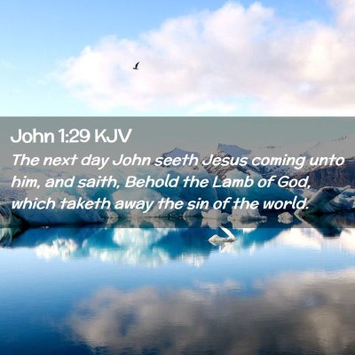 Picture 02 - John 1:29 KJV - The next day John seeth Jesus coming unto him, - Bible Verse Picture