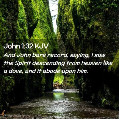 Picture 02 - John 1:32 KJV - And John bare record, saying, I saw the Spirit - Bible Verse Picture