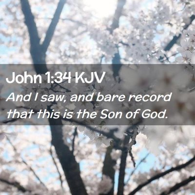 Picture 02 - John 1:34 KJV - And I saw, and bare record that this is the Son - Bible Verse Picture