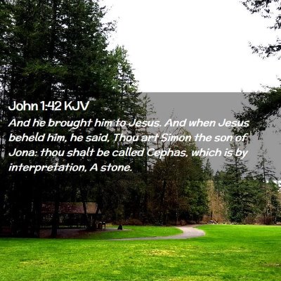 Picture 02 - John 1:42 KJV - And he brought him to Jesus. And when Jesus - Bible Verse Picture