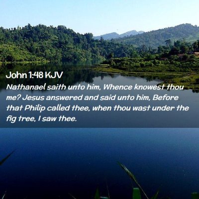 Picture 02 - John 1:48 KJV - Nathanael saith unto him, Whence knowest thou me? - Bible Verse Picture