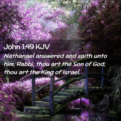 Picture 02 - John 1:49 KJV - Nathanael answered and saith unto him, Rabbi, - Bible Verse Picture