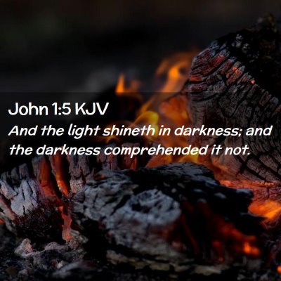 Picture 02 - John 1:5 KJV - And the light shineth in darkness; and the - Bible Verse Picture
