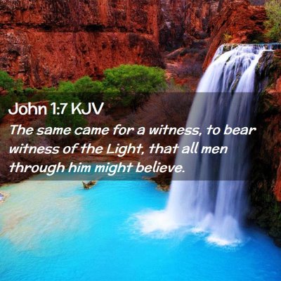 Picture 02 - John 1:7 KJV - The same came for a witness, to bear witness of - Bible Verse Picture