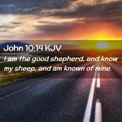 Picture 02 - John 10:14 KJV - I am the good shepherd, and know my sheep, and am - Bible Verse Picture