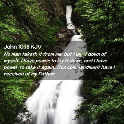 Picture 02 - John 10:18 KJV - No man taketh it from me, but I lay it down of - Bible Verse Picture