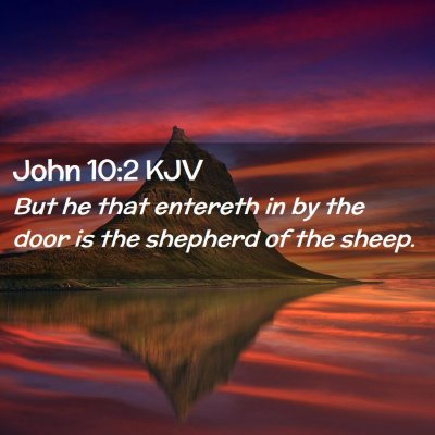 Picture 02 - John 10:2 KJV - But he that entereth in by the door is the - Bible Verse Picture