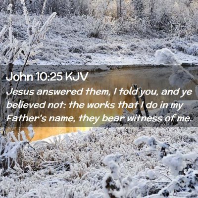 Picture 02 - John 10:25 KJV - Jesus answered them, I told you, and ye believed - Bible Verse Picture