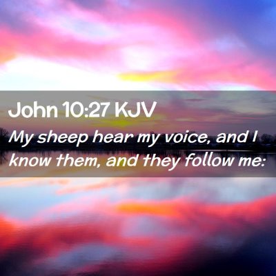 Picture 02 - John 10:27 KJV - My sheep hear my voice, and I know them, and they - Bible Verse Picture