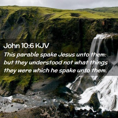 Picture 02 - John 10:6 KJV - This parable spake Jesus unto them: but they - Bible Verse Picture