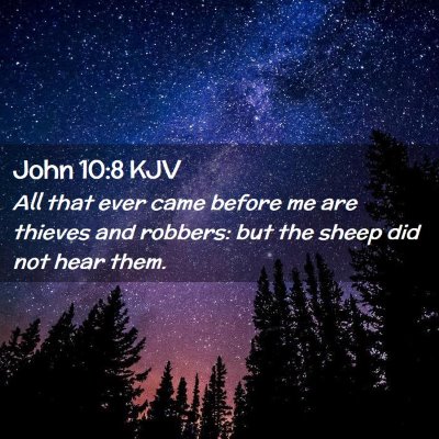 Picture 02 - John 10:8 KJV - All that ever came before me are thieves and - Bible Verse Picture