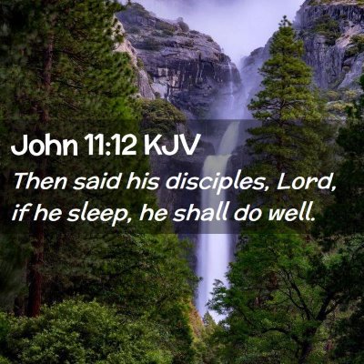 Picture 02 - John 11:12 KJV - Then said his disciples, Lord, if he sleep, he - Bible Verse Picture