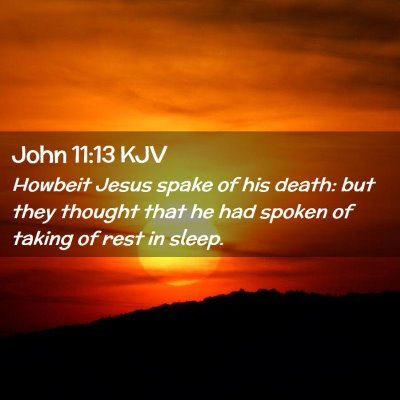 Picture 02 - John 11:13 KJV - Howbeit Jesus spake of his death: but they - Bible Verse Picture