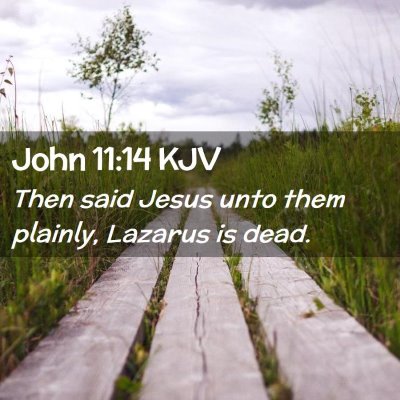 Picture 02 - John 11:14 KJV - Then said Jesus unto them plainly, Lazarus is - Bible Verse Picture