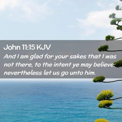 Picture 02 - John 11:15 KJV - And I am glad for your sakes that I was not - Bible Verse Picture