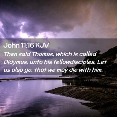 Picture 02 - John 11:16 KJV - Then said Thomas, which is called Didymus, unto - Bible Verse Picture