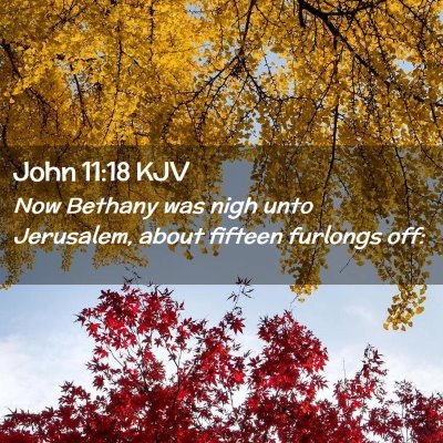 Picture 02 - John 11:18 KJV - Now Bethany was nigh unto Jerusalem, about - Bible Verse Picture